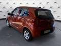 Kia Picanto 1.0 12V EcoGPL 5 porte Urban Brun - thumbnail 7