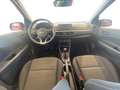 Kia Picanto 1.0 12V EcoGPL 5 porte Urban Brun - thumbnail 3