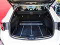 Toyota Corolla TOURING SPORT Hybride 122h CVT BREAK Collection Weiß - thumbnail 20