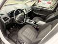 Ford Galaxy 2,0 TDCi Titanium Start/Stop Weiß - thumbnail 13