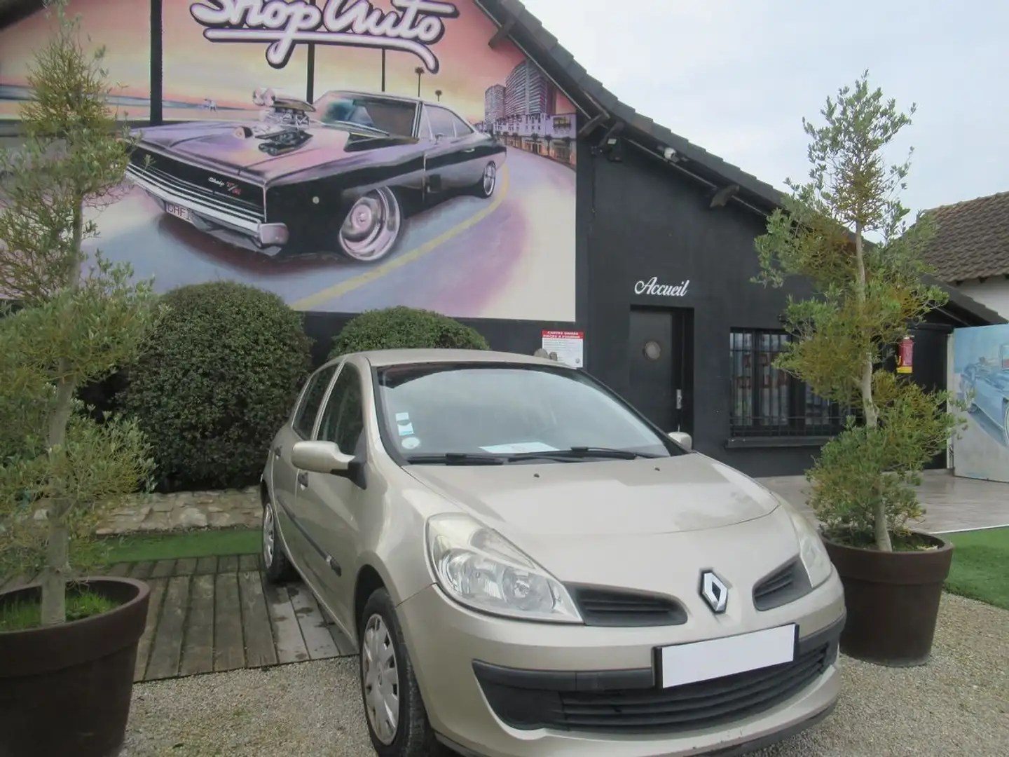 Renault Clio dci 1401 Beige - 2