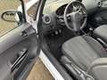 Opel Corsa Color Edition MIT Klima und ALU Bianco - thumbnail 12