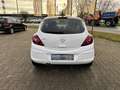 Opel Corsa Color Edition MIT Klima und ALU Bianco - thumbnail 6