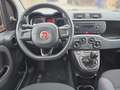 Fiat Panda Panda 1.2 Fire 70 Easy Orange - thumbnail 9