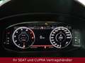 SEAT Leon FR 1.5 TSI  130 PS*Navi*LED*Sitzheizung Rood - thumbnail 7