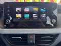 Skoda Scala 1.0 TSI Selection DSG Kurzzulassung Silber - thumbnail 18