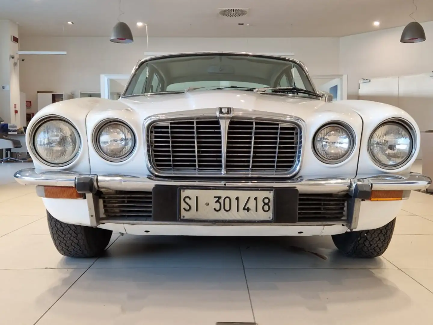 Jaguar XJ6 3.4 Blanco - 2