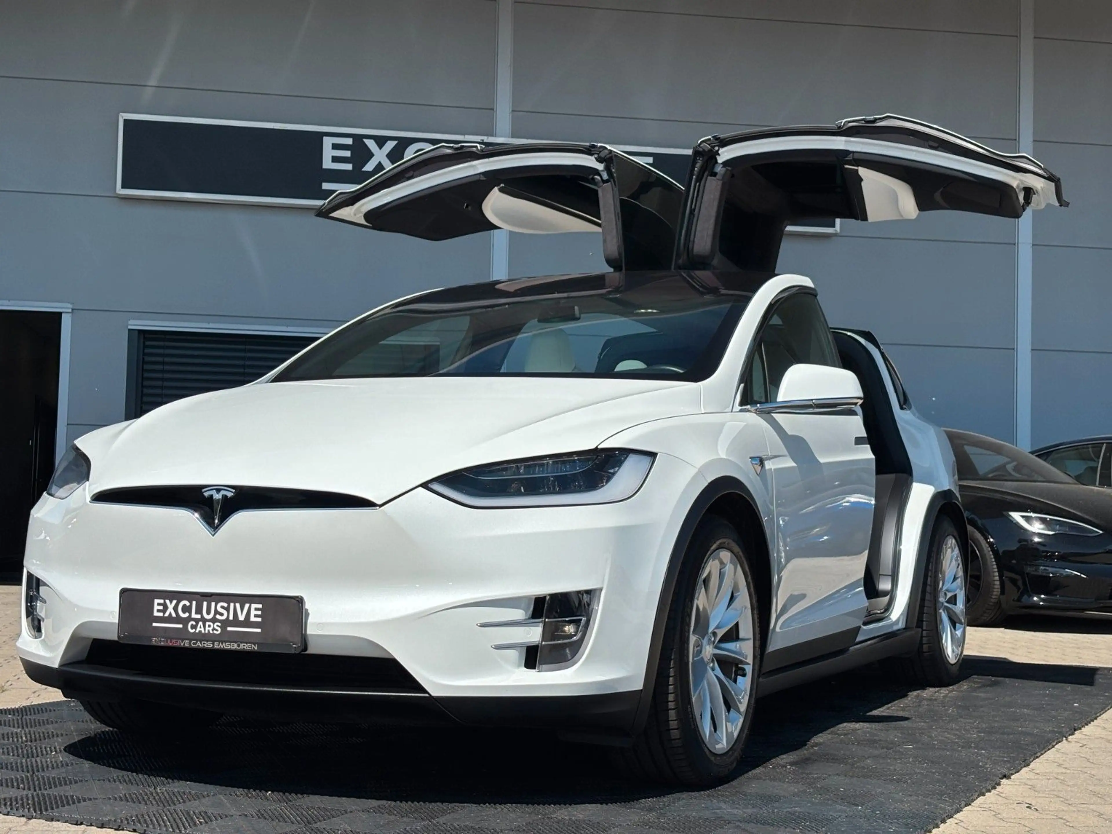 Tesla Model X MODEL X 100D | 6 SEAT | WHITE & CARBON | MCU2 — photo 6