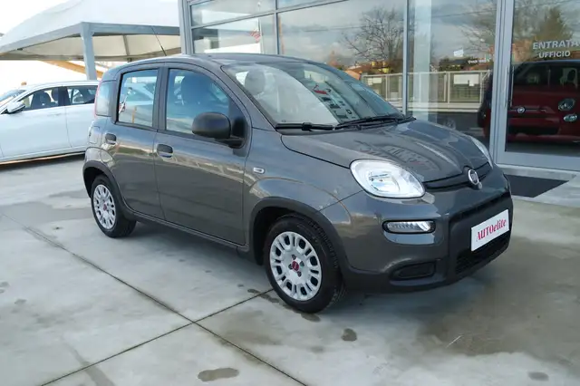 Fiat Panda Panda 1.0 firefly hybrid s