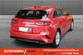 Kia Ceed / cee'd ceed 1,5 TGDI Silber/Titan Rot - thumbnail 4