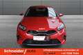 Kia Ceed / cee'd ceed 1,5 TGDI Silber/Titan Rot - thumbnail 2