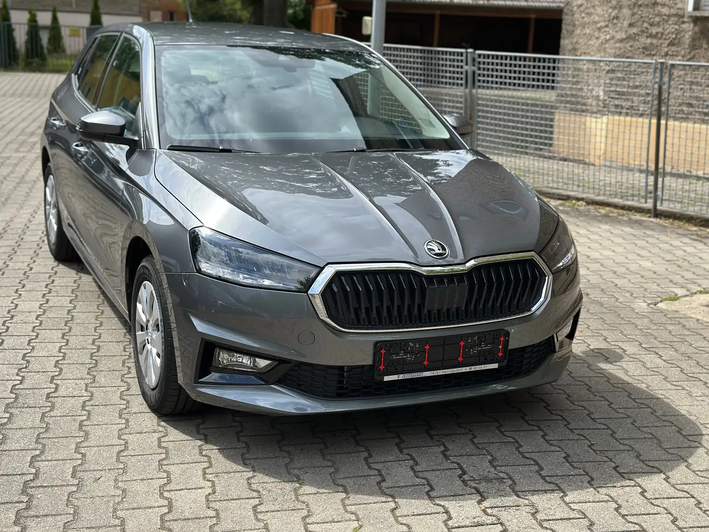 Skoda Fabia 1.0 TSI DSG Selection Grau - 1