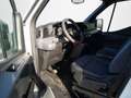Nissan Interstar N-Connecta  KaWa L2H2 3,5t dCI 130 6MT Weiß - thumbnail 9