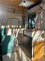 Caravans-Wohnm Fiat diesel 2.0 MultiJet da 115cv Braun - thumbnail 1