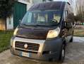 Caravans-Wohnm Fiat diesel 2.0 MultiJet da 115cv Braun - thumbnail 49