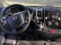 Caravans-Wohnm Fiat diesel 2.0 MultiJet da 115cv Braun - thumbnail 41