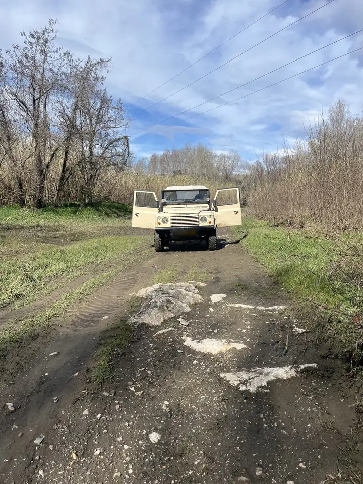 Land Rover 2.5 ATMO, foto 9