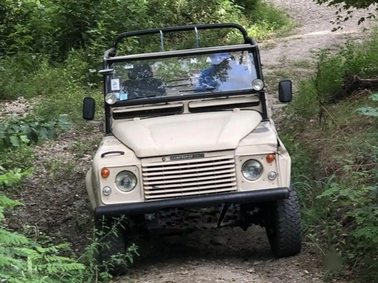 Land Rover 2.5 ATMO, foto 1