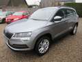 Skoda Karoq TSI Style Grau - thumbnail 1