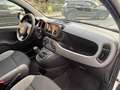 Fiat Panda 1.0 FireFly S&S Hybrid prezzo REALE Grijs - thumbnail 8