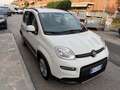Fiat Panda 1.0 FireFly S&S Hybrid prezzo REALE Grijs - thumbnail 3