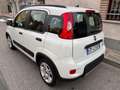 Fiat Panda 1.0 FireFly S&S Hybrid prezzo REALE Grijs - thumbnail 7