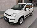Fiat Panda 1.0 FireFly S&S Hybrid prezzo REALE Grijs - thumbnail 1
