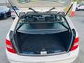 Mercedes-Benz C 220 C -Klasse T-Modell C 220 T CDI BlueEf Blanc - thumbnail 11