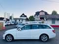 Mercedes-Benz C 220 C -Klasse T-Modell C 220 T CDI BlueEf Blanc - thumbnail 10
