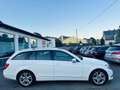 Mercedes-Benz C 220 C -Klasse T-Modell C 220 T CDI BlueEf Blanc - thumbnail 9