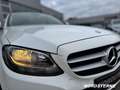 Mercedes-Benz C 220 C 220 CDI T BlueTEC MBUX+EL.SITZE+MLF.LENKRAD Bianco - thumbnail 10