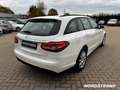 Mercedes-Benz C 220 C 220 CDI T BlueTEC MBUX+EL.SITZE+MLF.LENKRAD Bianco - thumbnail 7
