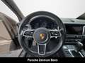 Porsche Macan Rückfahrkamera 20-Zoll LED 1-Hand Gris - thumbnail 10