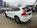 Volvo XC60 B4 D AWD Plus Dark+HarmanKardon+Allwetter Weiß - thumbnail 5