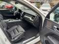 Volvo XC60 B4 D AWD Plus Dark+HarmanKardon+Allwetter Weiß - thumbnail 16