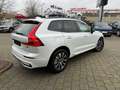 Volvo XC60 B4 D AWD Plus Dark+HarmanKardon+Allwetter Weiß - thumbnail 4