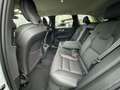 Volvo XC60 B4 D AWD Plus Dark+HarmanKardon+Allwetter Weiß - thumbnail 13
