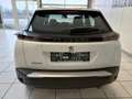 Peugeot 2008 BlueHDi 110 S&S Active 6-Gang-Manuell Weiß - thumbnail 8