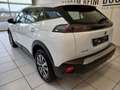 Peugeot 2008 BlueHDi 110 S&S Active 6-Gang-Manuell Weiß - thumbnail 7