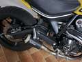 Ducati Scrambler icon 800 Jaune - thumbnail 3