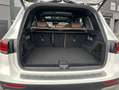 Mercedes-Benz GLB 250 4M Edition 1 DTR/HUD/PANO/Burmes/Leder Weiß - thumbnail 48