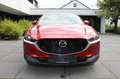 Mazda CX-3 0 Exclusive-Line*ACC/360°CAM/HUD/LEDER/DAB* Rot - thumbnail 5