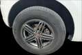 Daihatsu Terios Terios 1.5 4WD Sho Bianco - thumbnail 8