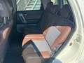 Daihatsu Terios Terios 1.5 4WD Sho Bianco - thumbnail 12