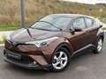 Toyota C-HR C-HR Hybrid 1.8i VVT-i GARANTIE NAVI AUTO JANTES A Brun - thumbnail 1