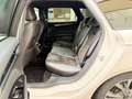 Ford Mondeo Turnier Hybrid ST-Line *Aut.*Navi*LED*Ka. Weiß - thumbnail 18