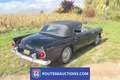 Ford Thunderbird | 1955 | Route 66 Auctions Zwart - thumbnail 5