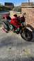 Ducati Monster 1200 Termignoni Homologué Rood - thumbnail 11