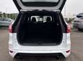 Ford Kuga Kuga 1.5 EcoBoost 4x4 Aut. ST-Line Blanc - thumbnail 15
