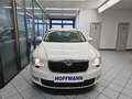 Skoda Superb 1. Hand, AHK, Sitzheizung, etc Blanc - thumbnail 20